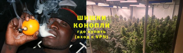 мяу мяу кристалл Богданович