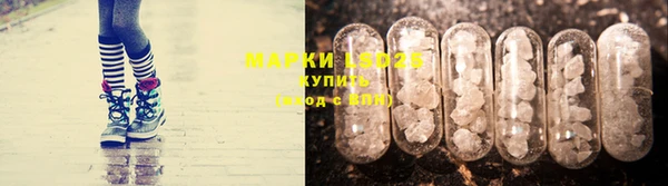 мяу мяу кристалл Богданович