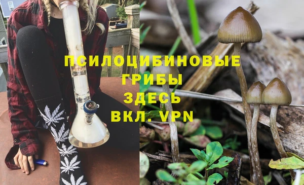 мескалин Богородск