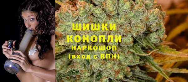мяу мяу кристалл Богданович