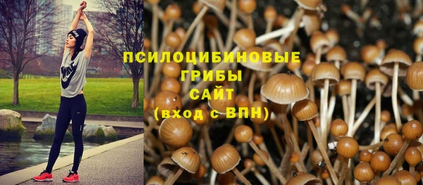 мяу мяу кристалл Богданович