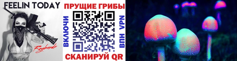 Галлюциногенные грибы мухоморы  купить наркотики цена  блэк спрут вход  Ессентукская 